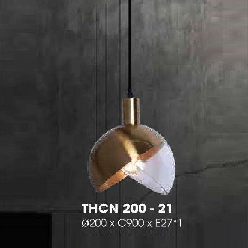 THCN 200 - 21: Đèn thả đơn - KT: Ø200mm x H900mm - Bóng đèn E27 x 1 bóng