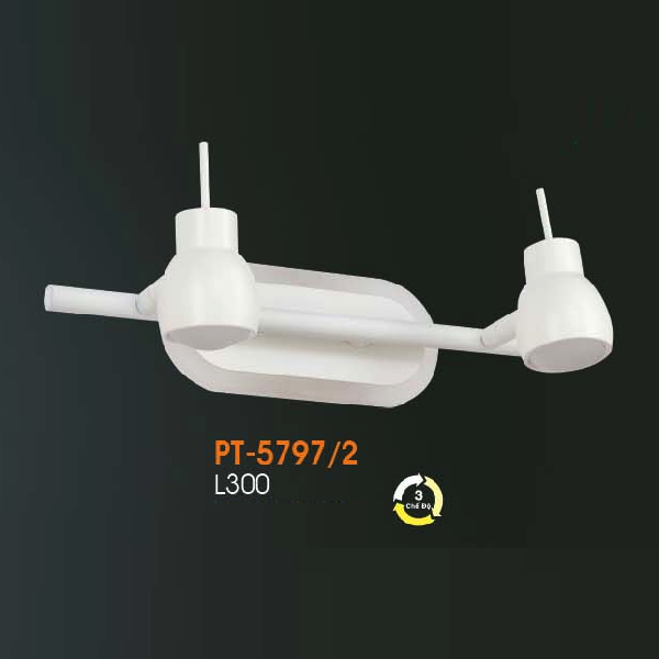 VE - PT - 5797/2: Đèn rọi tranh/gương đôi - KT: L300mm - Đèn LED đổi 3 màu
