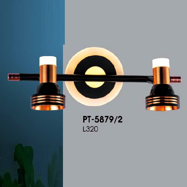 VE - PT - 5879/2: Đèn rọi tranh/gương đôi - KT: L320mm - Đèn LED ánh sáng vàng