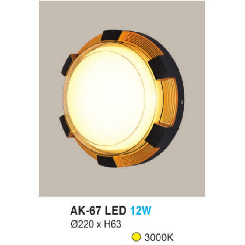 AK - 67: Đèn LED gắn tường ngoài trời - KT: Ø220mm x H63mm - Đèn LED 12W, ánh sáng vàng 3000K