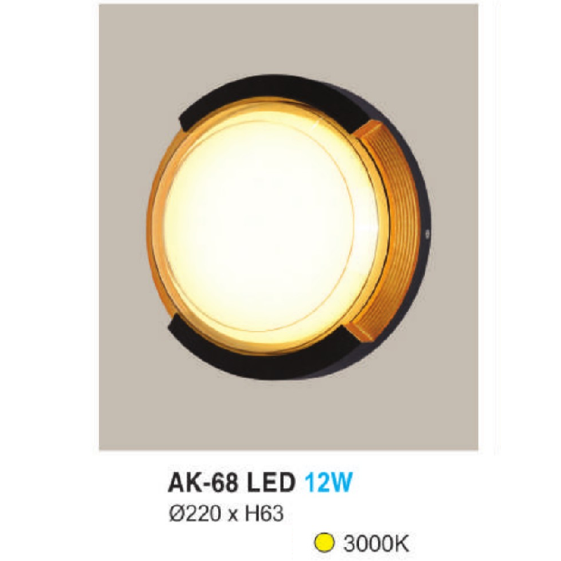 AK - 68: Đèn LED gắn tường ngoài trời - KT: Ø220mm x H63mm - Đèn LED 12W, ánh sáng vàng 3000K