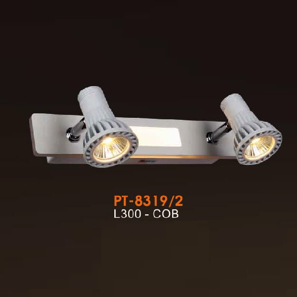 VE - PT - 8319/2: Đèn rọi tranh /rọi gương đôi - KT: L300mm - Đèn LED COB ánh sáng vàng