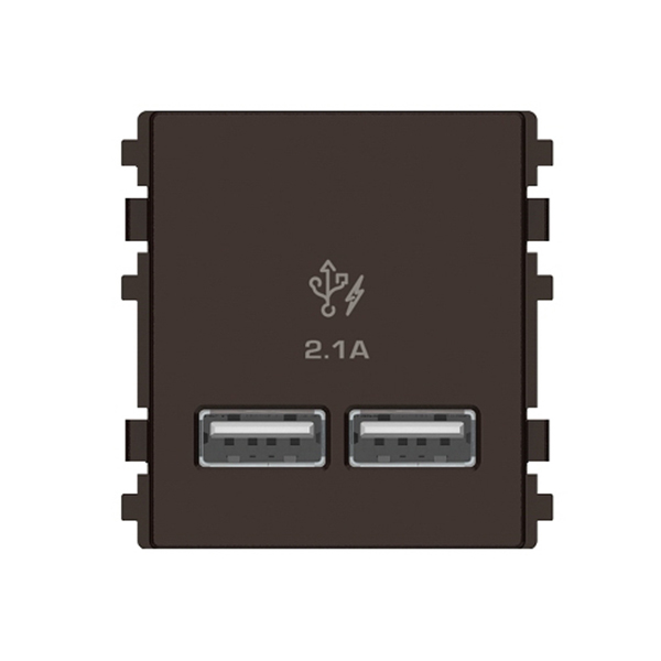 8432USB_BZ: Ổ sạc USB, 2.1A đôi, Size 2S