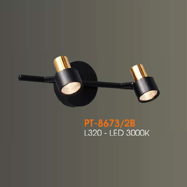 VE - PT - 8673/2B: Đèn rọi tranh/gương đôi - KT: L320mm - Đèn LED  ánh sáng vàng 3000K