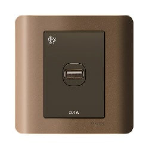 E8431USB-SZ-G19: Bộ ổ sạc USB đơn 2.1A, màu đồng