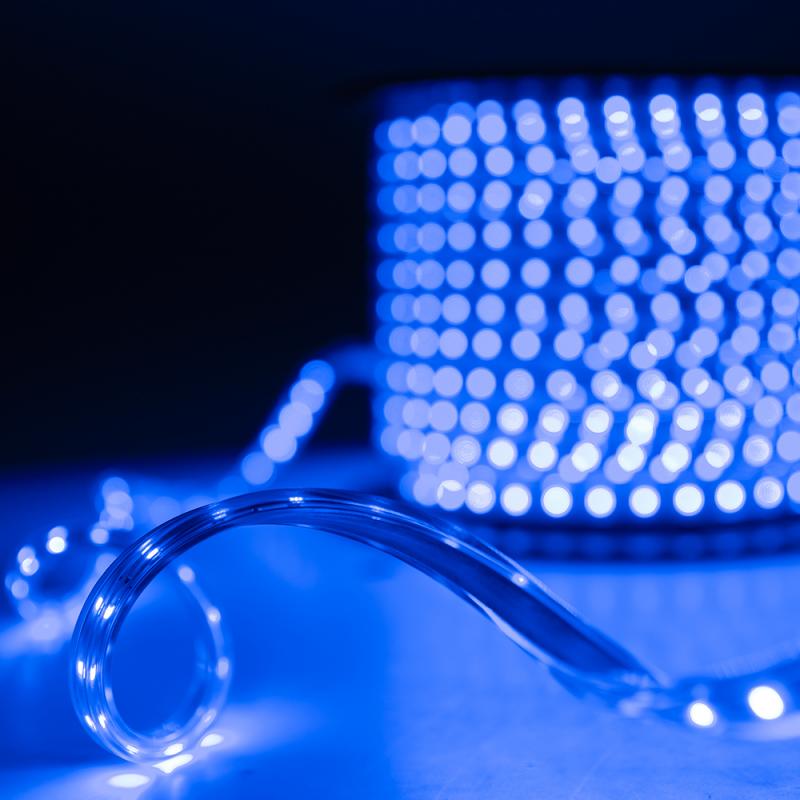 LD01.B 1000/7W - Đèn LED dây 7W - Ánh sáng màu xanh dương - RẠNG ĐÔNG