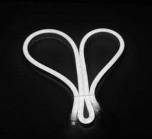 NET01 - LED dây NEON ánh sáng trắng - DUHAL