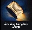 NFV80004C1A - Đèn LED dây ngoài trời - Ánh sáng trung tính (4000K) - PANASONIC