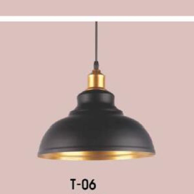 VE - T - 06: Đèn thả đơn, chao đen - KT: Ø300mm - Bóng đèn E27 x1
