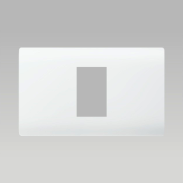 A50-50021: Mặt dùng cho 1 thiết bị, Size S