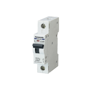 BBD110011C/ BBD11001CHV: CB 1P 100A