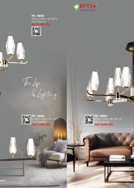 CATALOGUE DÈN LIGHTING & HOME 2025 ( Chiếc khấu từ 50%-60%)
