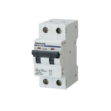 BBD210021C/ BBD21002CHV: CB 2P 100A