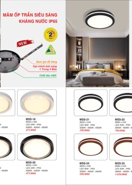 CATALOGUE ĐÈN TRANG TRÍ EUROTO 2025 ( CK từ 55%-60%)