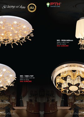 CATALOGUE DÈN LIGHTING & HOME 2025 ( Chiếc khấu từ 50%-60%)