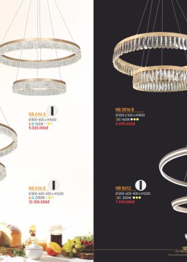 CATALOGUE ĐÈN NAM LONG ( NETVIET) - CK từ 55%-60%