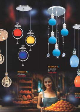 CATALOGUE ĐÈN NAM LONG ( NETVIET) - CK từ 55%-60%