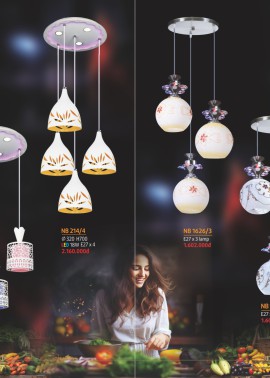 CATALOGUE ĐÈN NAM LONG ( NETVIET) - CK từ 55%-60%