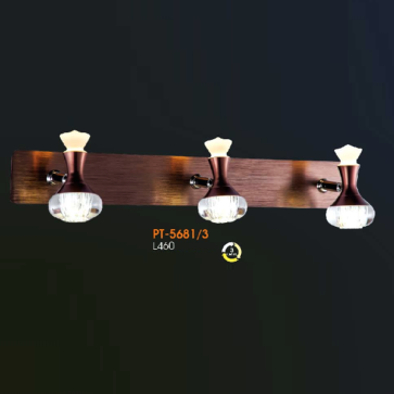 VE - PT - 5681/3: Đèn rọi tranh/gương đôi - KT: L460mm - Đèn LED đổi 3 màu