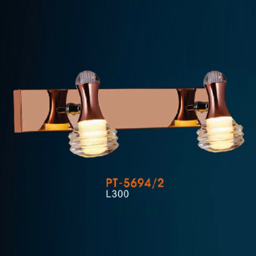 VE - PT - 5694/2: Đèn rọi tranh/gương đôi - KT: L300mm - Đèn LED ánh sáng vàng