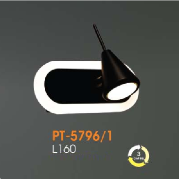 VE - PT - 5796/1: Đèn rọi tranh/gương đơn - KT: L160mm - Đèn LED đổi 3 màu