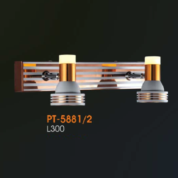 VE - PT - 5881/2: Đèn rọi tranh/gương đôi - KT: L300mm - Đèn LED ánh sáng vàng