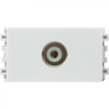 8431STV - WE - G19 - ổ  TV, size S