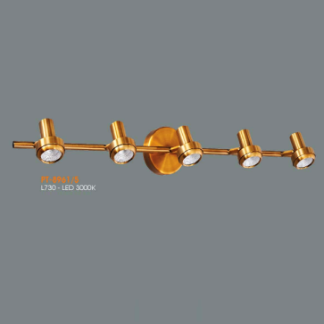 VE - PT - 8961/5: Đèn rọi tranh/gương 5 bóng - KT: L730mm - Đèn LED ánh sáng vàng 3000K