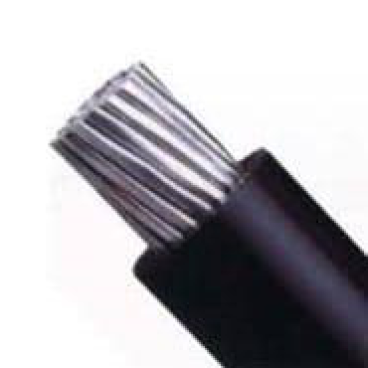 AV - 300: Cáp nhôm đơn 300mm2 - 1 mét