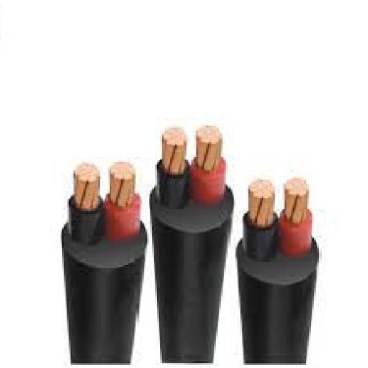 CVV 2x16: Cáp CVV 2x16mm2 (0.6/KV) - 1 m