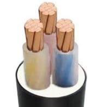 CXV 3x10 - 0.6/1KV : Cáp CXV 3x10mm2 - 1 mét