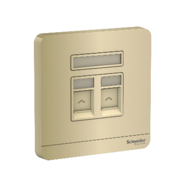 E8332RJS6_WG_G19: Bộ ổ cắm mạng Cat6 đôi màu vàng ánh kim