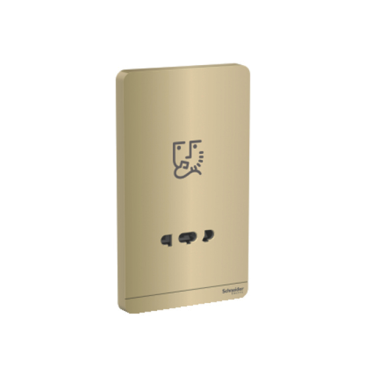 E83T727V_WG_G19: Bộ ổ cắm Dao cạo râu màu vàng ánh kim