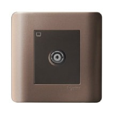 E8431TVS-SZ-G19: Bộ ổ cắm TV đơn, màu đồng