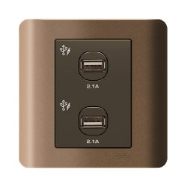 E8432USB-SZ-G19: Bộ ổ sạc USB đôi 2.1A, màu đồng