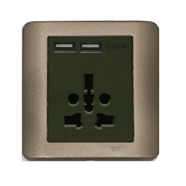 E8442616USB_SZ_G19: Bộ ổ cắm đa năng và sạc USB đôi, màu đồng