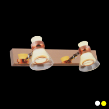 EU - S - 978/2: Đèn rọi tranh/gương đôi - KT: L320mm x W150mm  x H100mm - Đèn LED 5W x 2 ánh sáng trắng /vàng