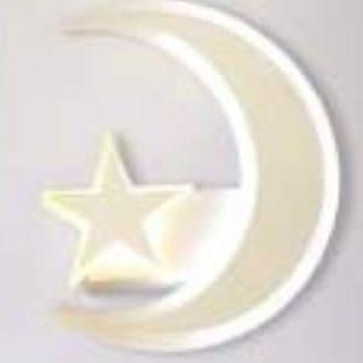 LH-GT311B-20 - KT : Ø200mm - Đèn LED ánh sáng trắng/vàng