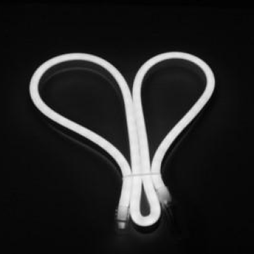 NET01 - LED dây NEON ánh sáng trắng - DUHAL