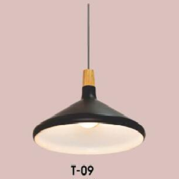 VE - T - 09: Đèn thả đơn, chao đen - KT: Ø380mm - Bóng đèn E27 x 1
