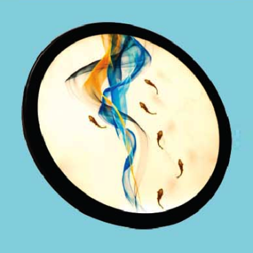 VE - V - YK088: Đèn gắn tường LED - KT: L240mm x H240mm - Đèn LED